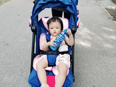 -自然谷恐龙园
