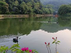 -广州市帽峰山景区