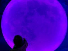 -天津梵高星空艺术馆(天河城旗舰店)