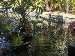 -三亚亚龙湾五号度假别墅酒店
