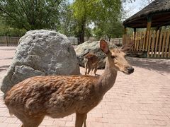 -水上乐园·欢乐世界