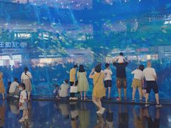 -成都浩海立方海洋公园