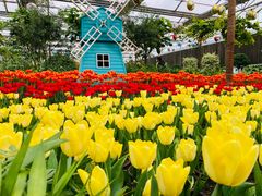 -南宫五洲植物乐园