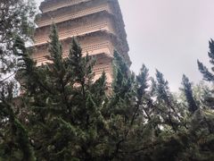 -大慈恩寺(大雁塔)