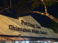 -清迈夜间动物园