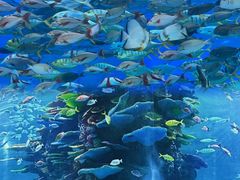 -泉城欧乐堡海洋极地世界