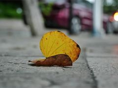 -龙舟池