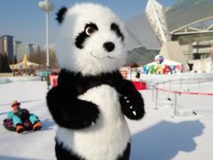 -沈阳奥体冰雪嘉年华