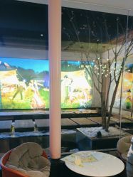 -爱儿美儿童摄影(朝阳公园店)