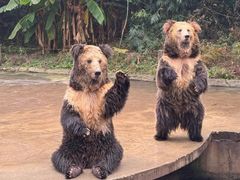 -贵州森林野生动物园