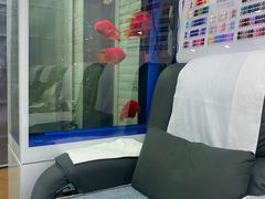 -杨一刀修脚(马连道南街店)