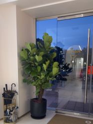 -WENDY·温迪皮肤管理