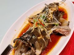 -青岛富力艾美酒店