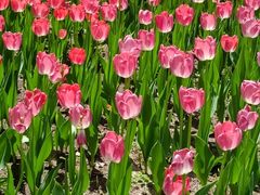 -长春公园(普阳街道)