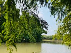 -上海海湾国家森林公园