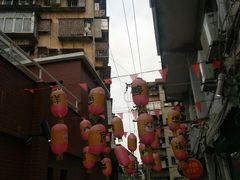 -猫咪博物馆(顶澳仔猫街店)