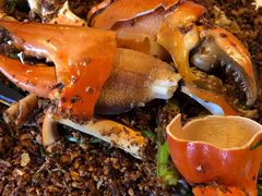 -喜记避风塘炒辣蟹(旗舰店)