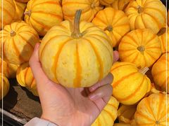 -BETTER拜特精品超市(丹尼斯一天地店)