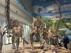 -自贡恐龙博物馆