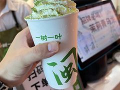 -一树一叶·福建茶档(石鼓路店)