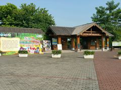 android_upload_pic-大湾区中央湿地公园
