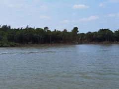 -东寨港红树林旅游区