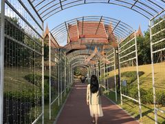 -江门恒大泉都