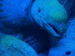 -太平洋海底世界