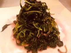 -金熙楼(熙南里店)