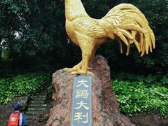 -海口火山口国家地质公园