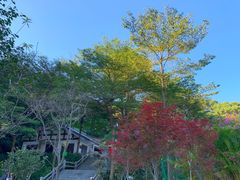 -广州市帽峰山景区