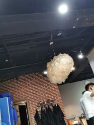 -菲拉派瑞连锁沙龙