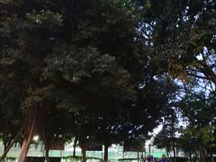 -金牛体育中心(金牛体育馆店)