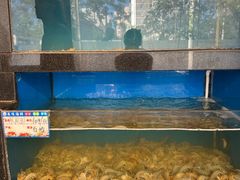 -华盛丰温州大排档(东三环南路店)