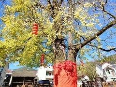 -长兴八都岕景区