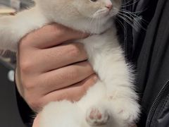 -加伍磅健身(千树店)
