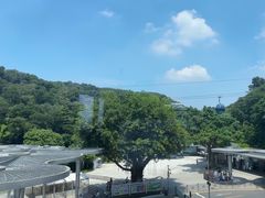 -点都德(广州白云山景区南门店)