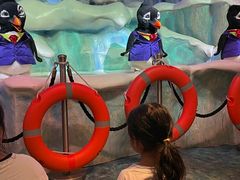 -帝企鹅自助餐厅•儿童岛•真企鹅(长隆企鹅酒店)