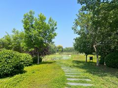 -永定河休闲森林公园