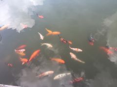 -永泰中国云顶