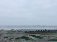 -南汇新城海滩