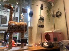 -小尾巴宠物店(万科·金域华庭店)