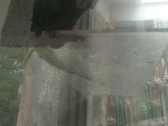 -黔灵山公园-南门售票处