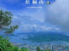 -梧桐山风景名胜区