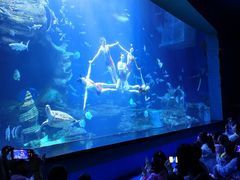 -多彩贵州城极地海洋世界