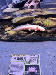 -Zoolung Zoolung动物主题公园(海信广场店)