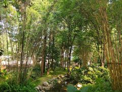 -成都市活水公园