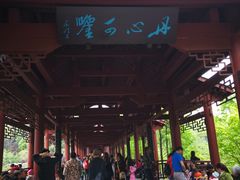 -重庆彩云湖湿地公园