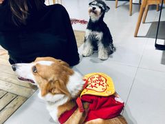 -肆兮眼镜·蔡司·徕卡战略合作店(大坪店)