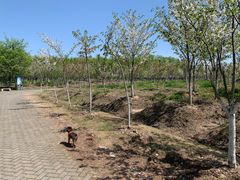 -上海海湾国家森林公园